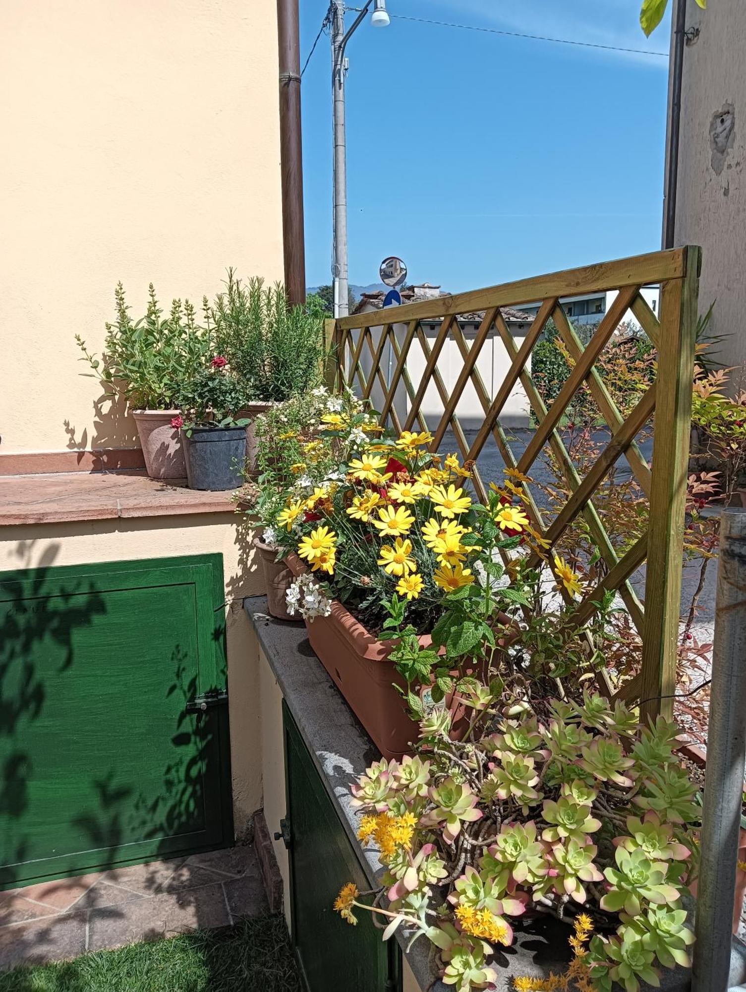 Casa Vacanze Rustico Di Corte Capannori Kültér fotó